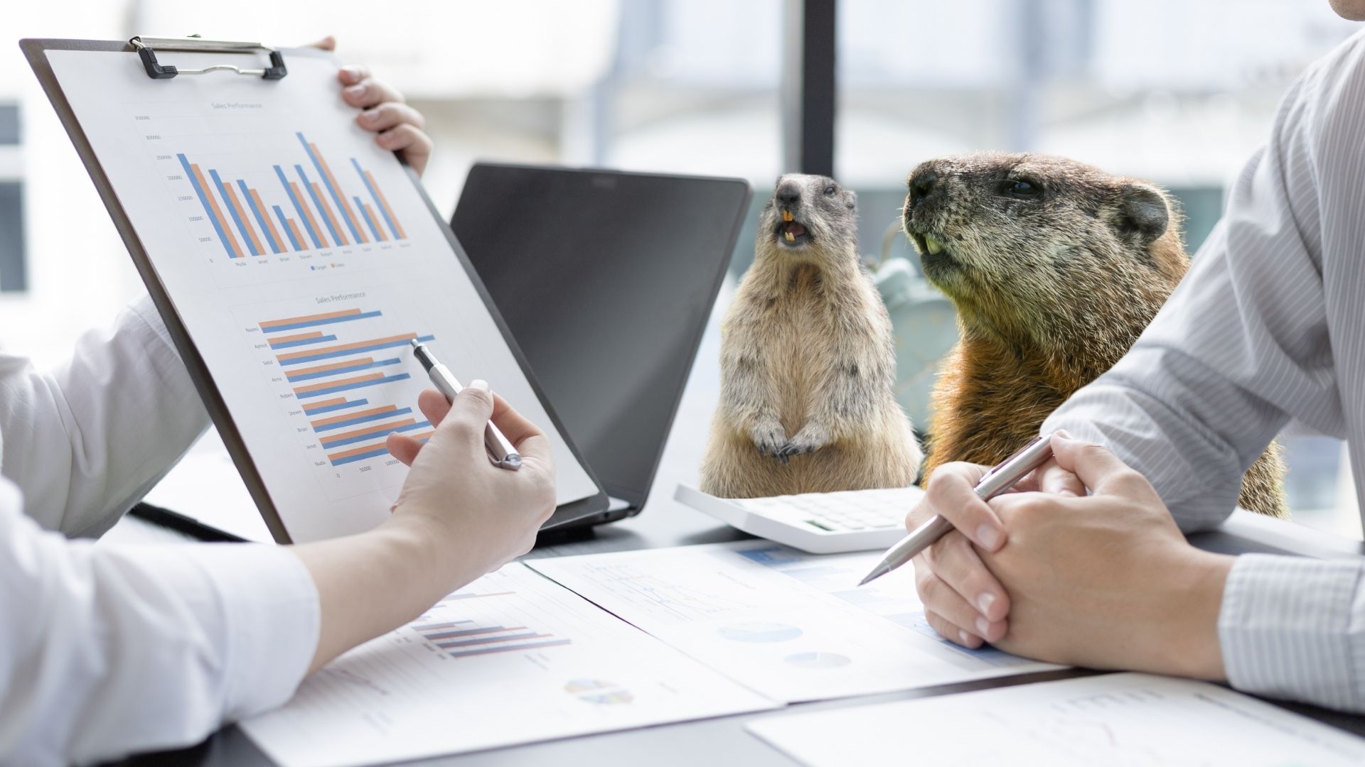 Escaping cash flow stagnation: Groundhog Day lessons for NZ SMEs