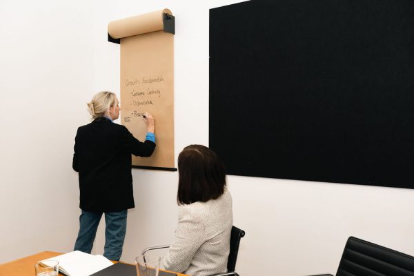 Write investor pitch