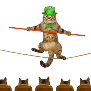 User Experience Design Strategy UX/AI design services Good CX