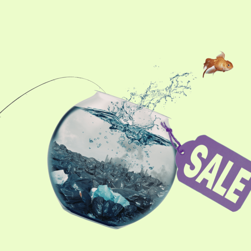 understanding how clients buy Good CX